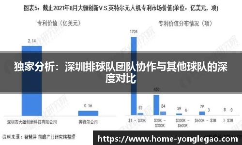 独家分析:深圳排球队团队协作与其他球队的深度对比